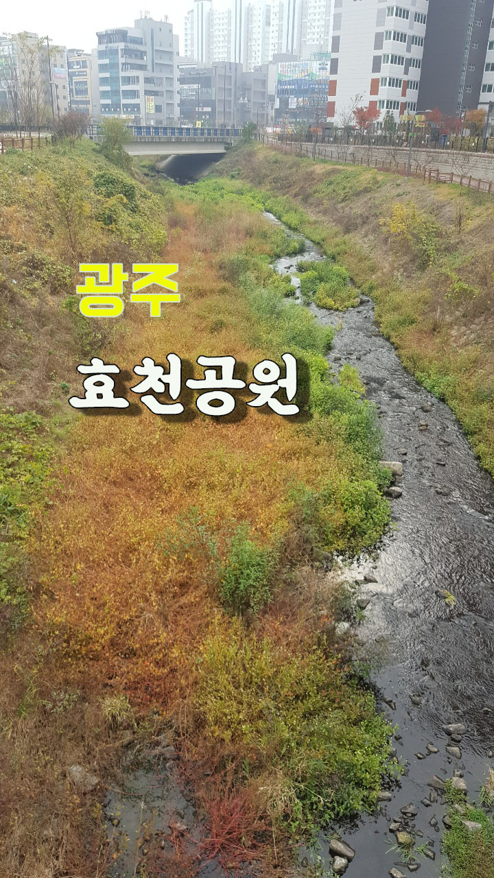  광주광역시 남구 산책하기 좋은 길 효천공원