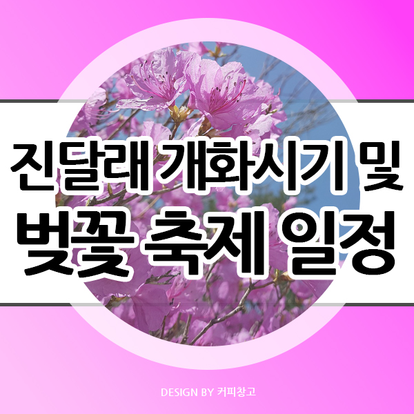 전국 진달래 개화시기 및 벚꽃 축제 일정 총정리