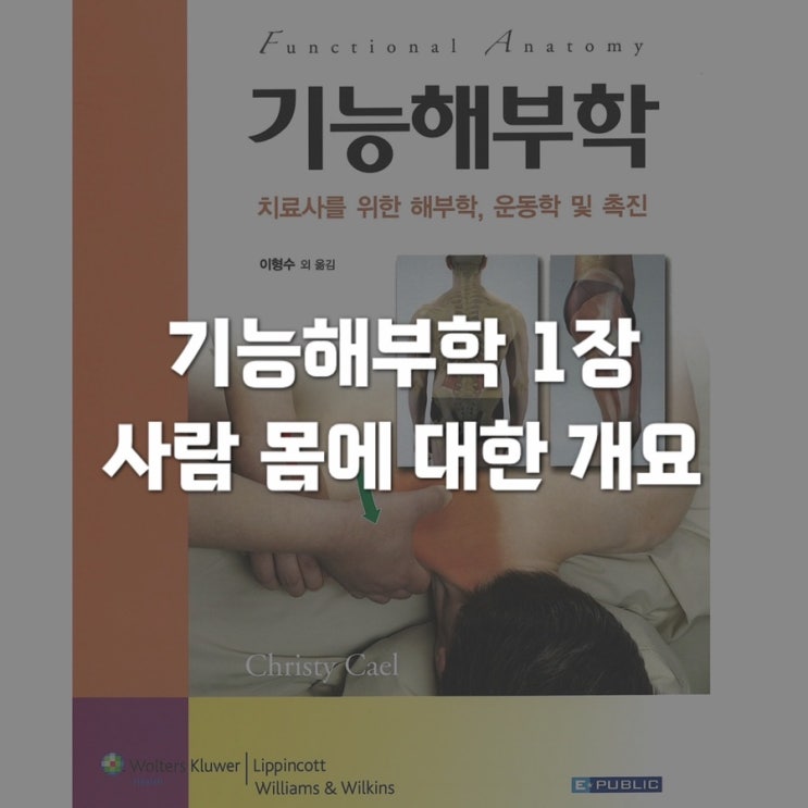  기능해부학 1장 - 사람 몸에 대한 개요