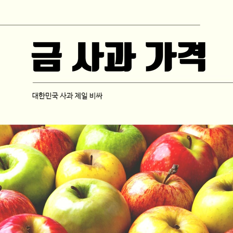  못 살겠다 물가상승 우리나라 사과 가격이 제일 비싸! 금사과!