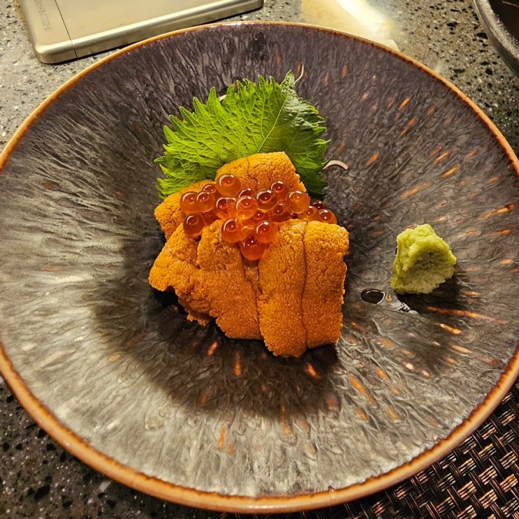  [양재] 고급 이자카야 니혼슈바 슈토 1호점 내돈내산 | 사케맛집 | 우니, 사시미, 옥돔구이와 디너 오마카세까지