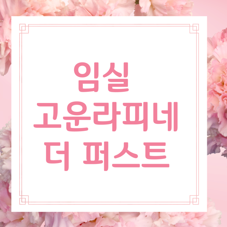  임실 고운라피네 더 퍼스트 분양 정보 알아보기