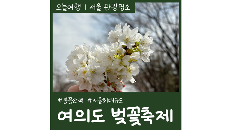 서울 벚꽃 명소 윤중로 여의도 벚꽃축제 봄꽃산책ㅣ한강공원 요트투어