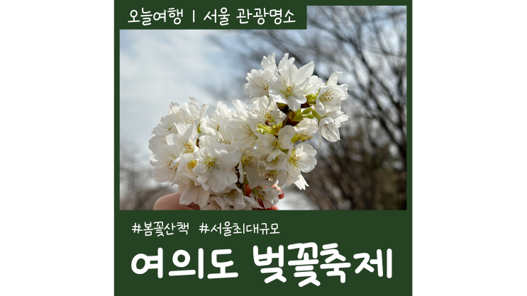 서울 벚꽃 명소 윤중로 여의도 벚꽃축제 봄꽃산책ㅣ한강공원 요트투어 서울 벚꽃 명소 윤중로 여의도 벚꽃축제 봄꽃산책ㅣ한강공원 요트투어