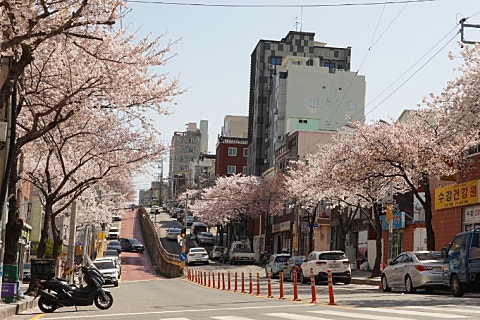 개금거울 이미지