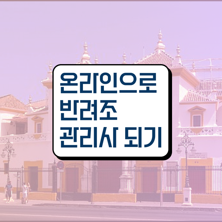  말하는 앵무새 분양가 , 반려조관리사 자격증 2주 만에 수강 및 취득 방법 , 구인구직 채용 관련