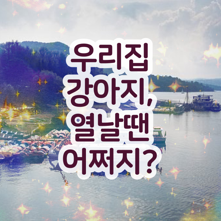  반려동물과 교수 , 반려동물관리사 자격증 온라인 무료강의 여기서 확인하세요