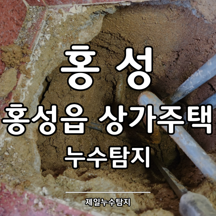  홍성누수탐지 홍성읍 상가주택 냉수배관 누수