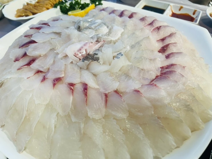  [고성맛집] 봉포머구리집