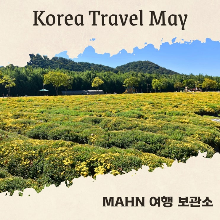  지금 국내여행 가볼만한 곳 추천 3 ft.5월