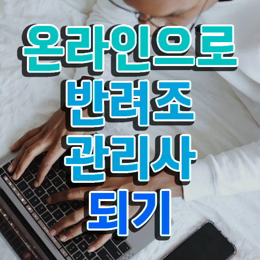  파인애플코뉴어앵무새 , 반려조관리사 자격증 학습 및 취득후기 핵심 정보 가득