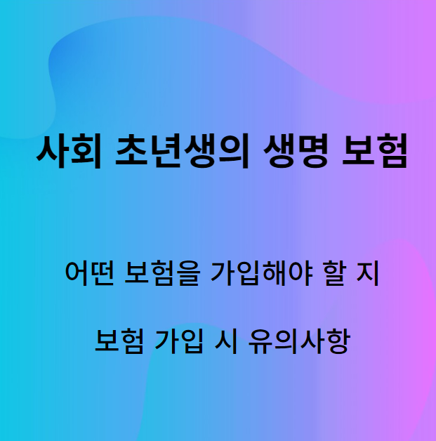  사회 초년생을 위한 생명보험 길잡이