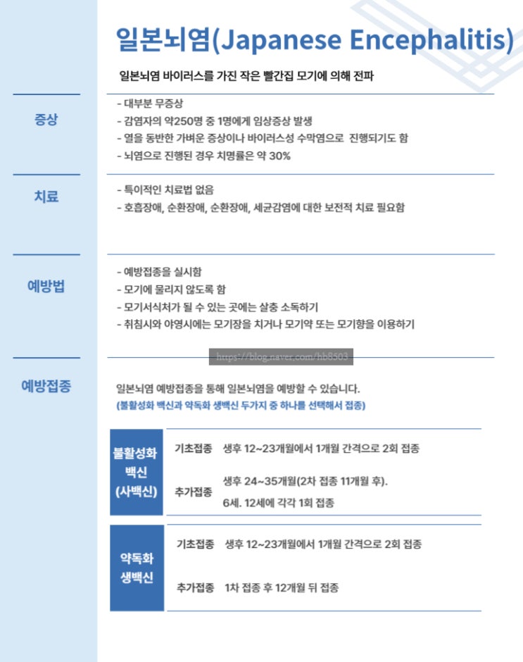  일본뇌염 증상 및 예방법