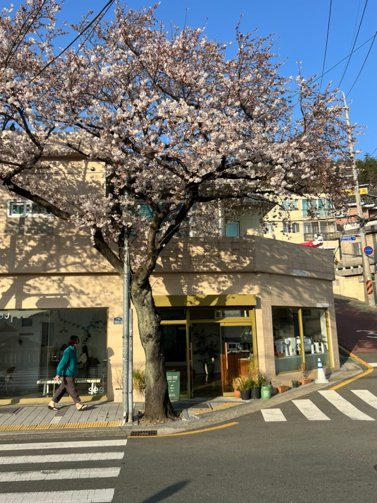 부산 대신동 산복도로카페 커피와 휘낭시에맛집 한적한카페 유씨(yousee)