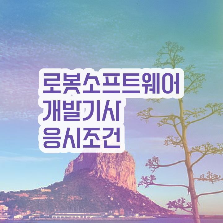  로봇소프트웨어개발기사 관련학과 로봇소프트웨어개발기사 온라인 취득 이렇게 갖추었어요