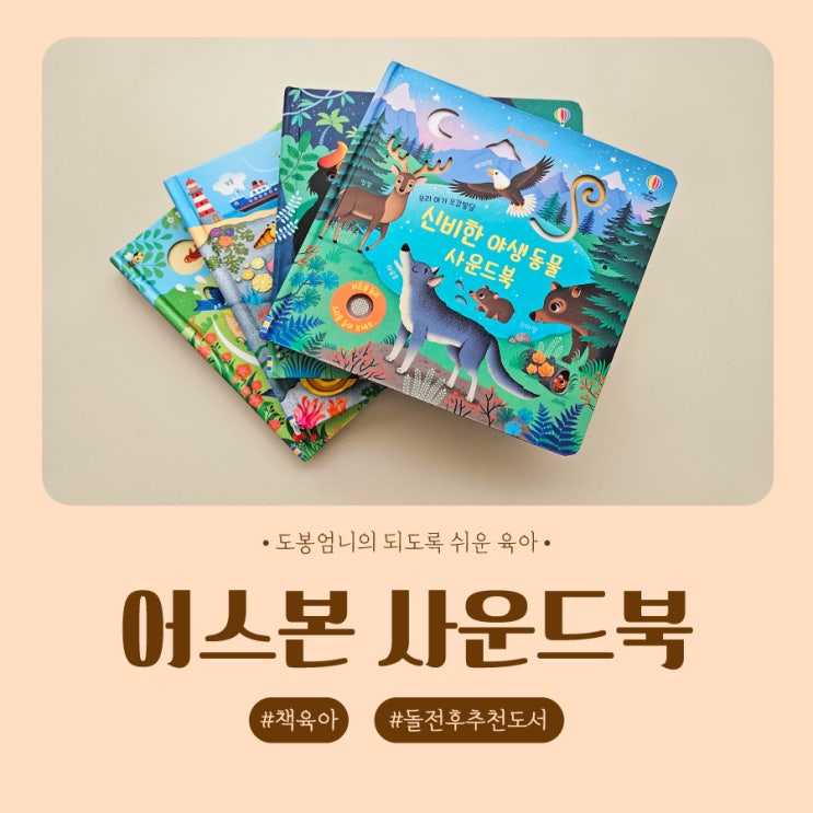  어스본 사운드북 핫딜 건전지 교체 내돈내산 찐후기