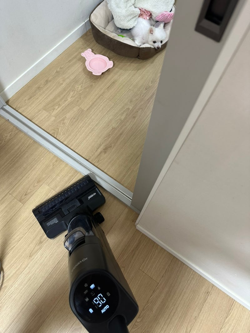 벤투스아쿠아드라이 물청소기 사용후기
