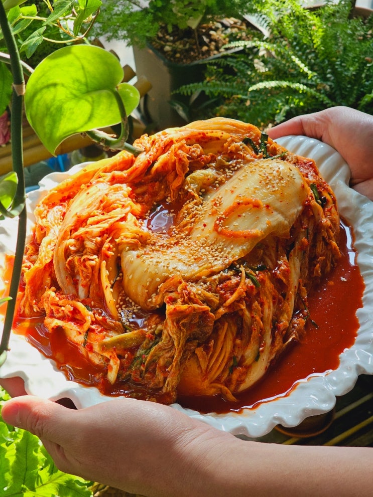  전라도김치 소복김치 포기김치 택배 주문