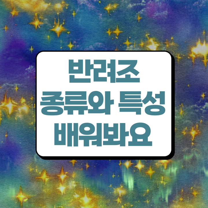  사랑앵무 수명 , 반려조관리사 자격증 20일 만에 공부하고 취득한 방법 핵심 정보