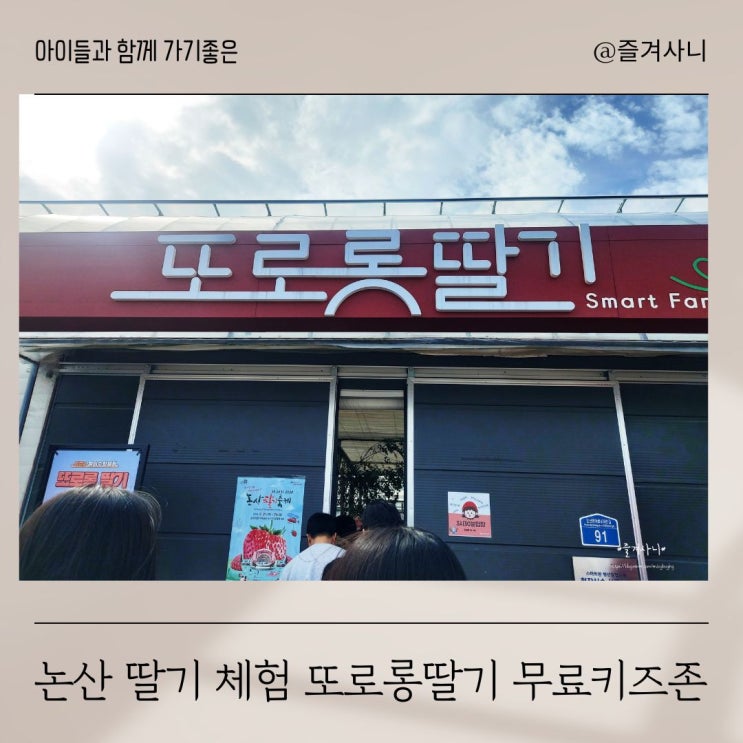  논산 딸기체험 또로롱딸기, 놀이시설 무료 이용, 키즈카페형 딸기농장
