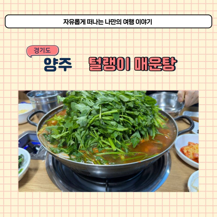  매운탕 먹고 싶을 때마다 방문하는 양주 백석 털랭이매운탕 식당