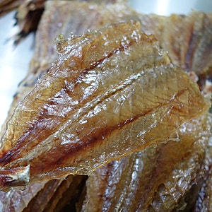 꼬리아귀포1kg 포항 죽도시장 아귀포 판매/가격