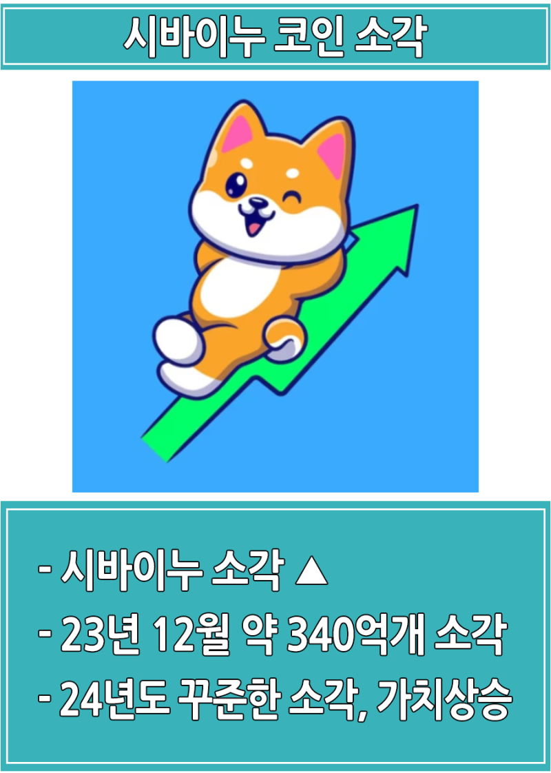 시바이누 코인 전망 시세와 소각 : 네이버 블로그