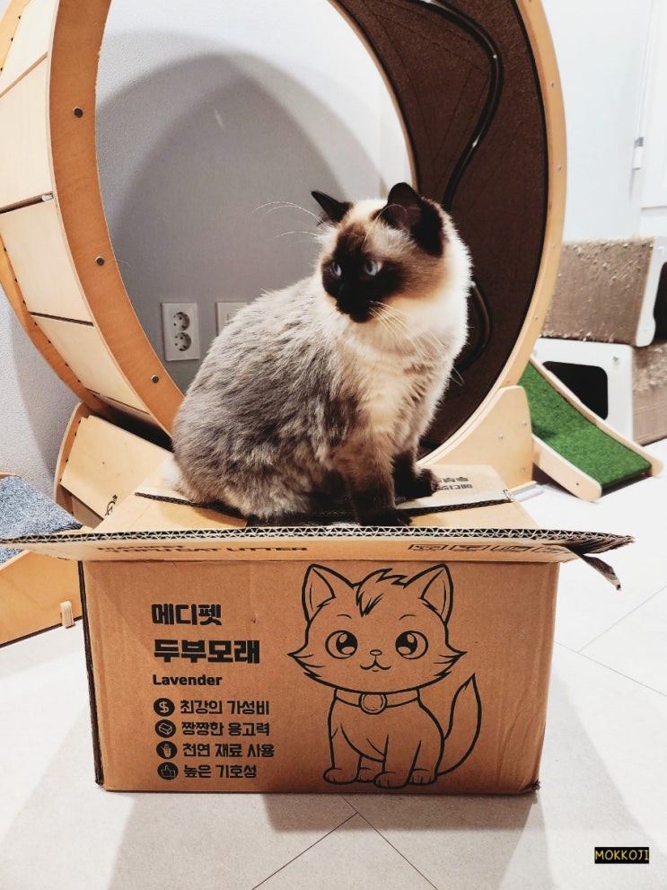  가성비 두부모래 추천! 메디펫 매직두부모래 리뷰