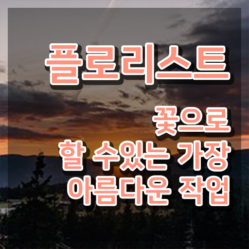 오아시스 꽃꽂이 , 플로리스트 자격증 합격한 후기 정보 퍼펙트 요약