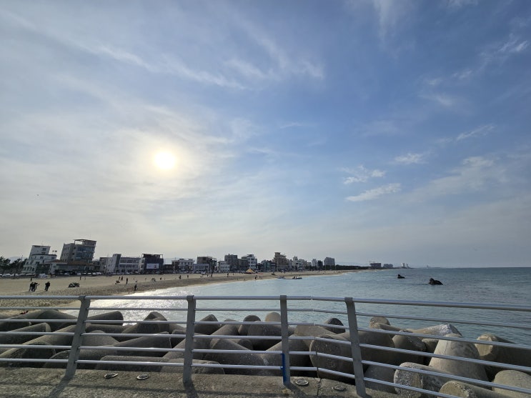  강릉 안목해변 발 시내버스 정보