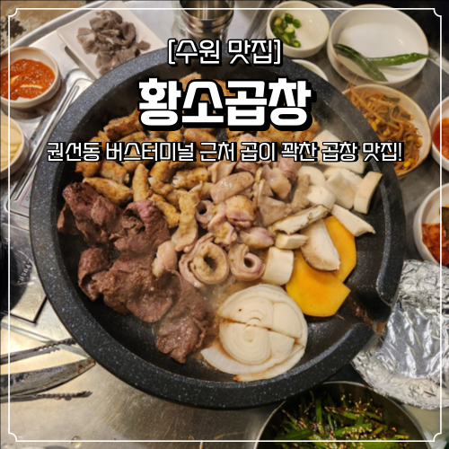  수원 곱창 맛집 권선동 황소곱창 수원버스터미널 먹자골목