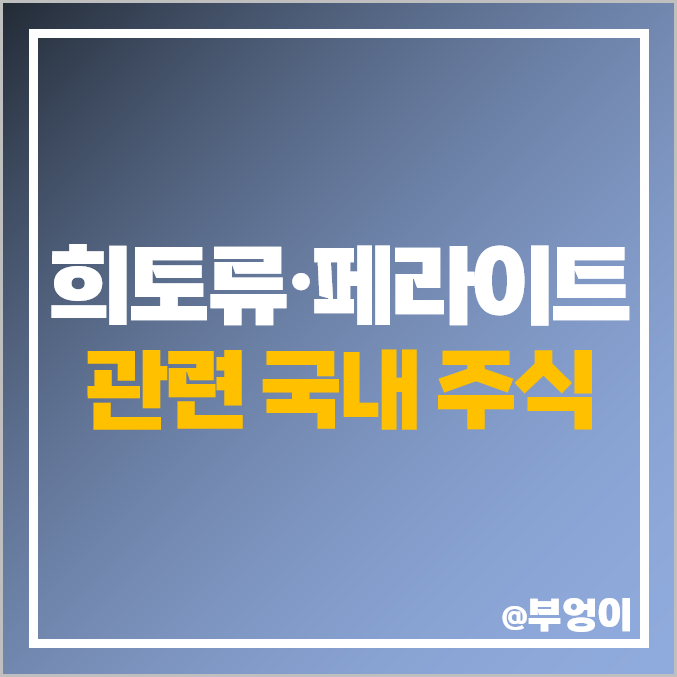 희토류 관련주 페라이트 테마주 대장주 삼화전자 EG 주가