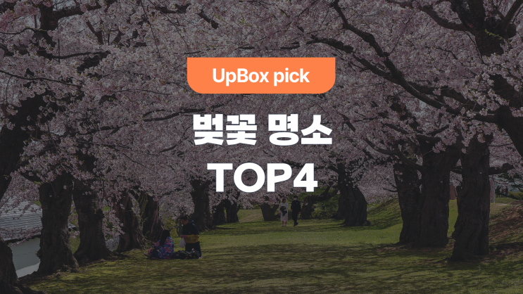  서울 벚꽃놀이 명소 TOP 4 (feat. 한강공원 분리수거 TIP)