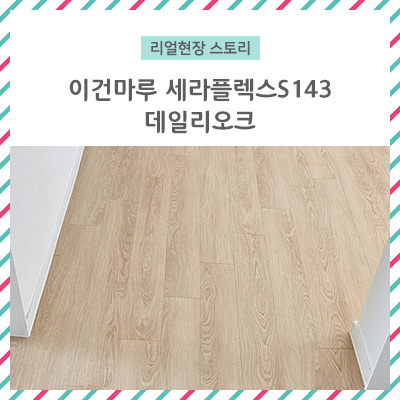  [리얼 현장 스토리] 이건마루 세라 플렉스 143 데일리 오크