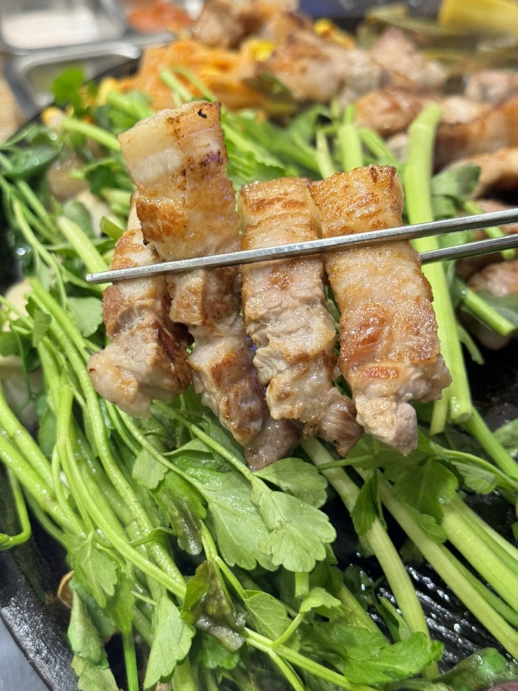  구로디지털단지 애견동반식당 월화식당 미나리 삼겹살 맛집