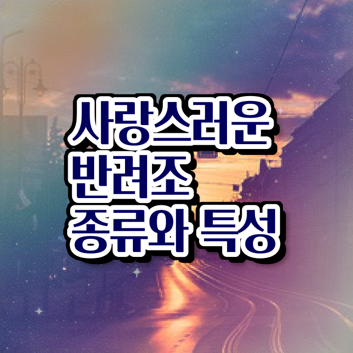  애완조 , 반려조관리사 자격증 구체적인 교육받고 합격한 후기 및 일자리, 전망