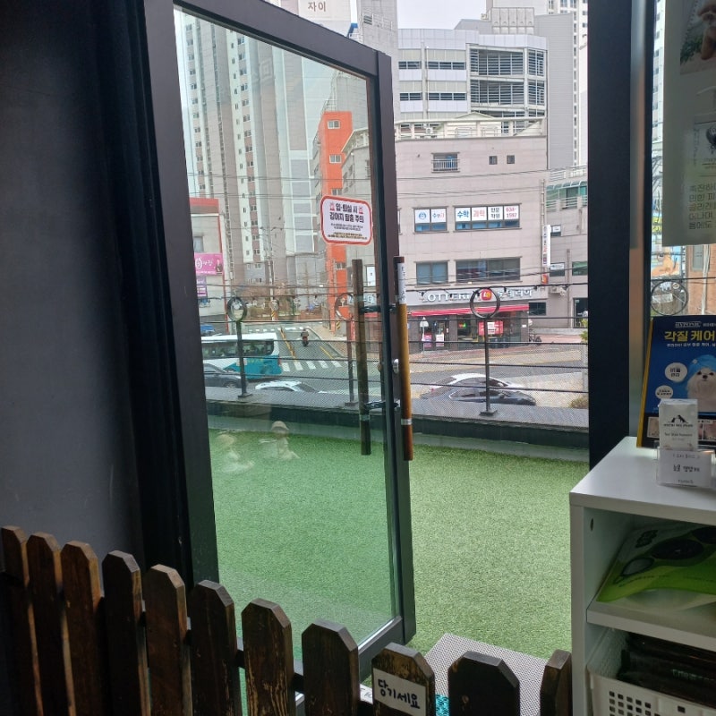 사진 3