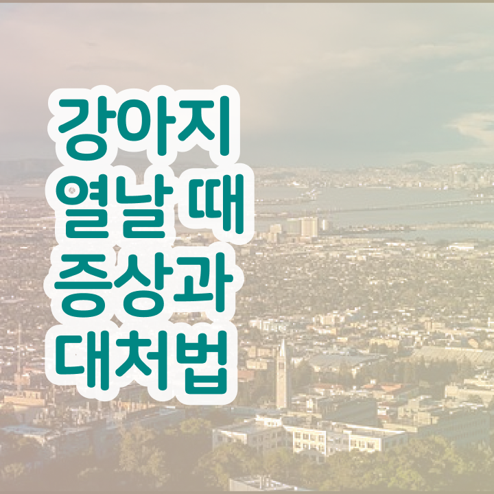  반려동물관리사교육센터 , 반려동물관리사 자격증 전망과 취업 방법 알아볼까요
