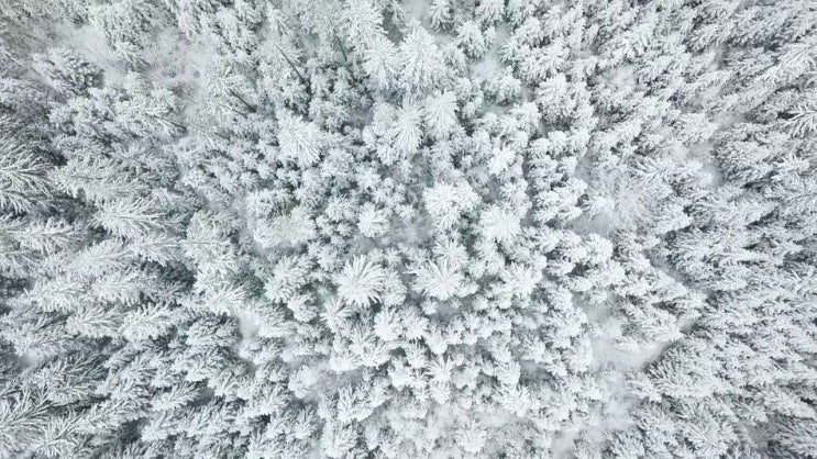  산림기사 합격점수 산림기사 단기 취득 알아볼까요
