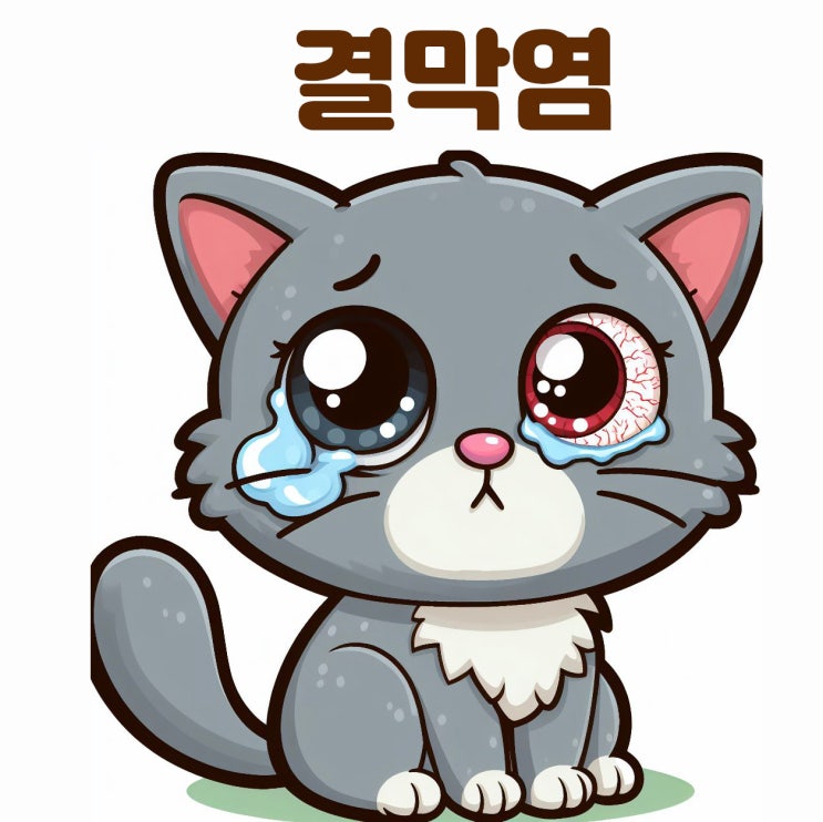  아기 고양이 결막염 허피스증상