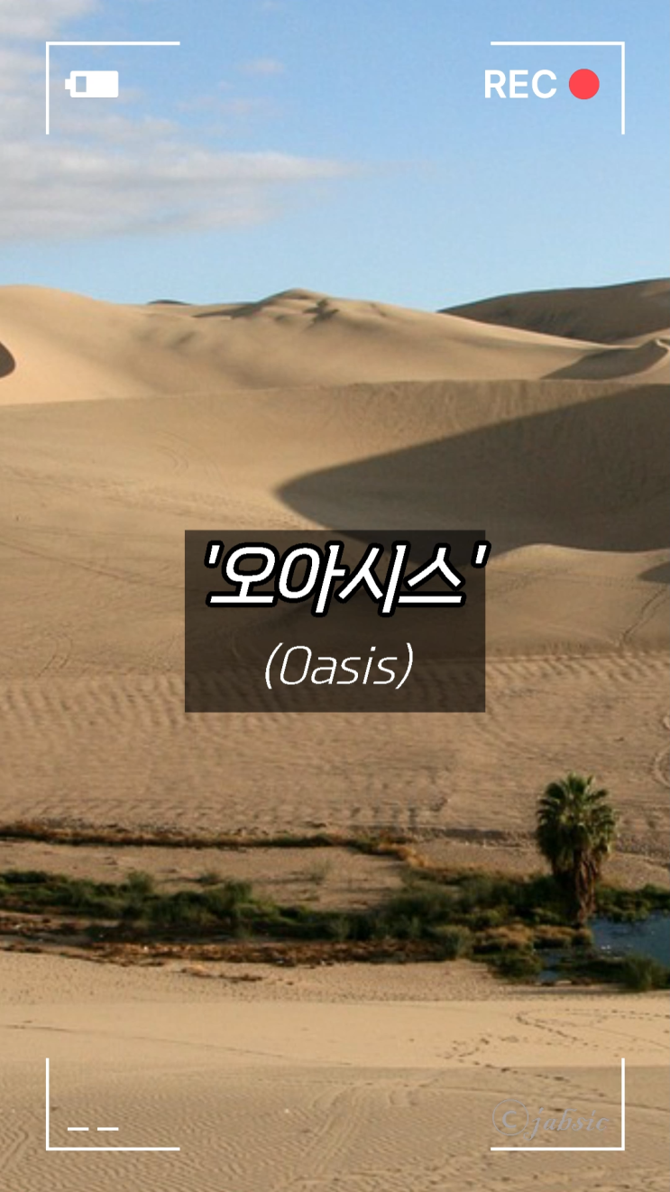 [60초 상식] 오아시스(Oasis)의 정확한 뜻과 유래와 비유적 용법, 사막의 비옥한 땅, 동식물의 작은 휴식처