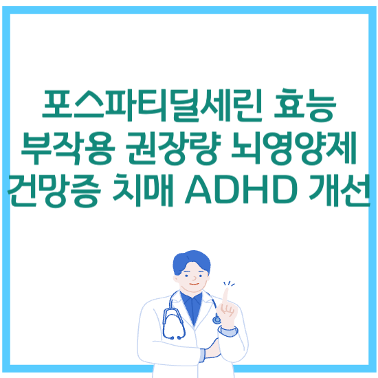 포스파티딜세린 효능 부작용 권장량 뇌영양제 건망증 치매 ADHD 개선