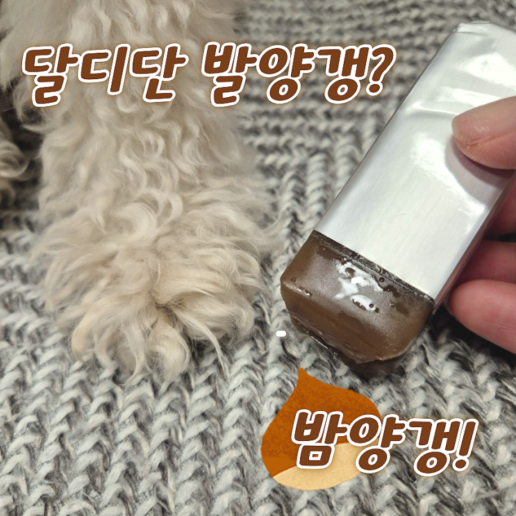  달고달디단 밤양갱 굿뜨래 내돈내산 후기 +강아지 발양갱과 비교
