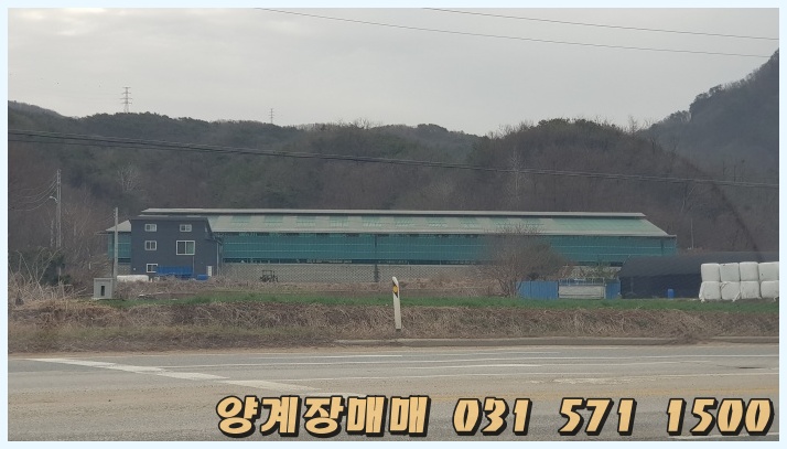  포천 병아리 사육장 매매합니다.