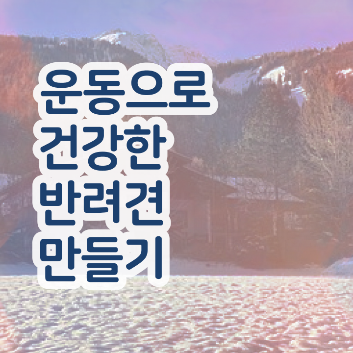  반려견운동지도사 강사 , 반려견운동지도사 자격증 인강만 듣고 준비한 방법 , 취업 전망