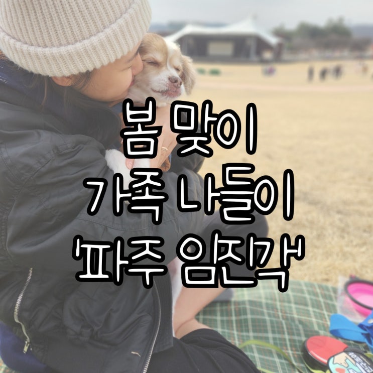  [평화로운 일상] 봄맞이 나들이 '파주 임진각'