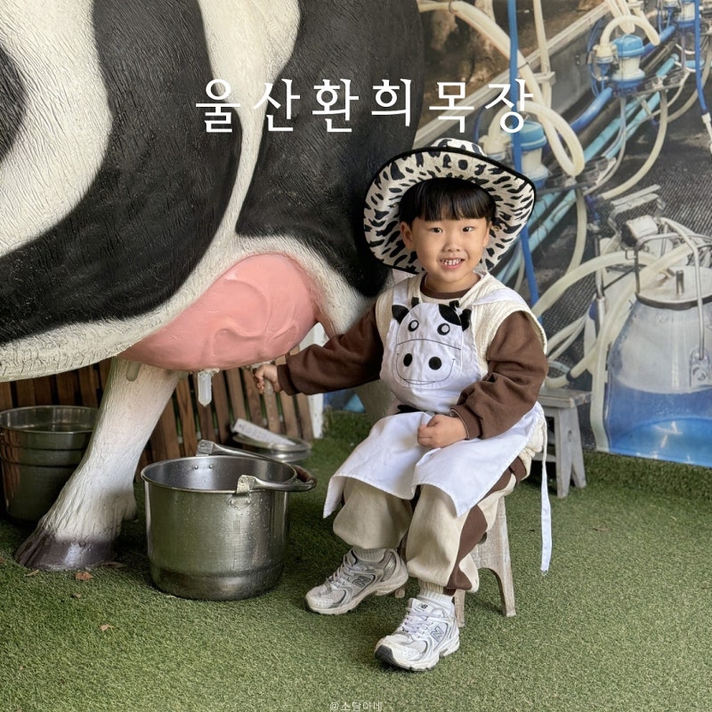 울산 아기랑 가볼만한 나들이 먹이주기 목장 체험 환희목장