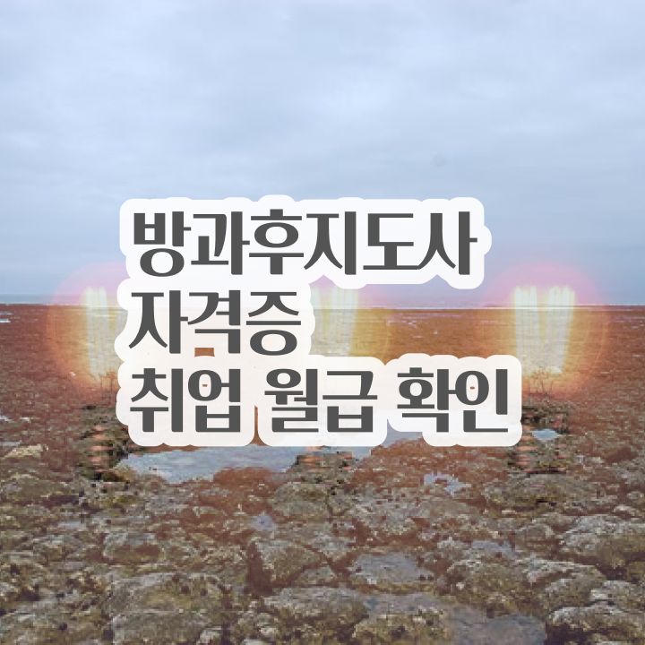  방과후강사코딩 , 방과후지도사 자격증 취득 후 고용 전망 짚어드려요