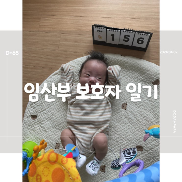 2024.04.02 임산부 보호자 일기 D+65일 2024.04.02 임산부 보호자 일기 D+65일