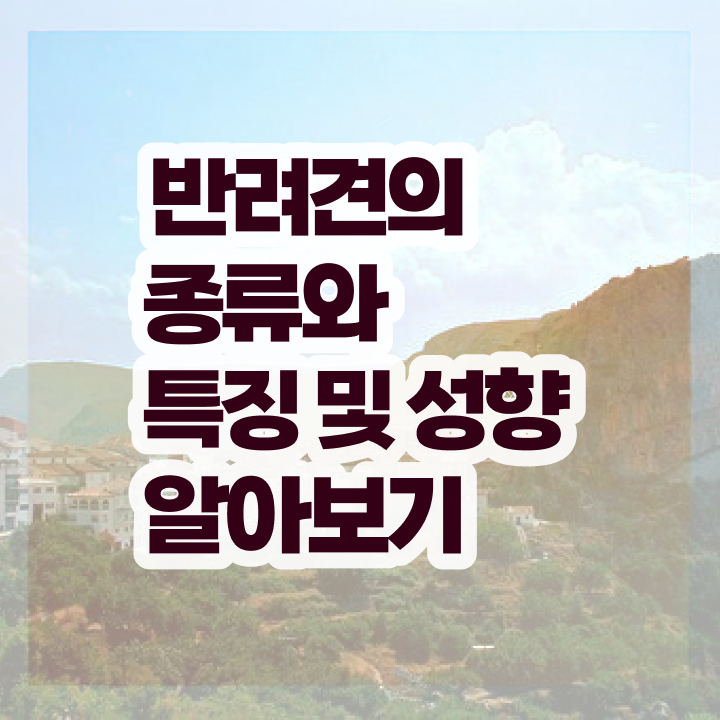  반려동물관리사독학 , 반려동물관리사 자격증 무료인강 후기 와 활용 방법